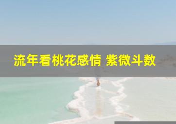 流年看桃花感情 紫微斗数